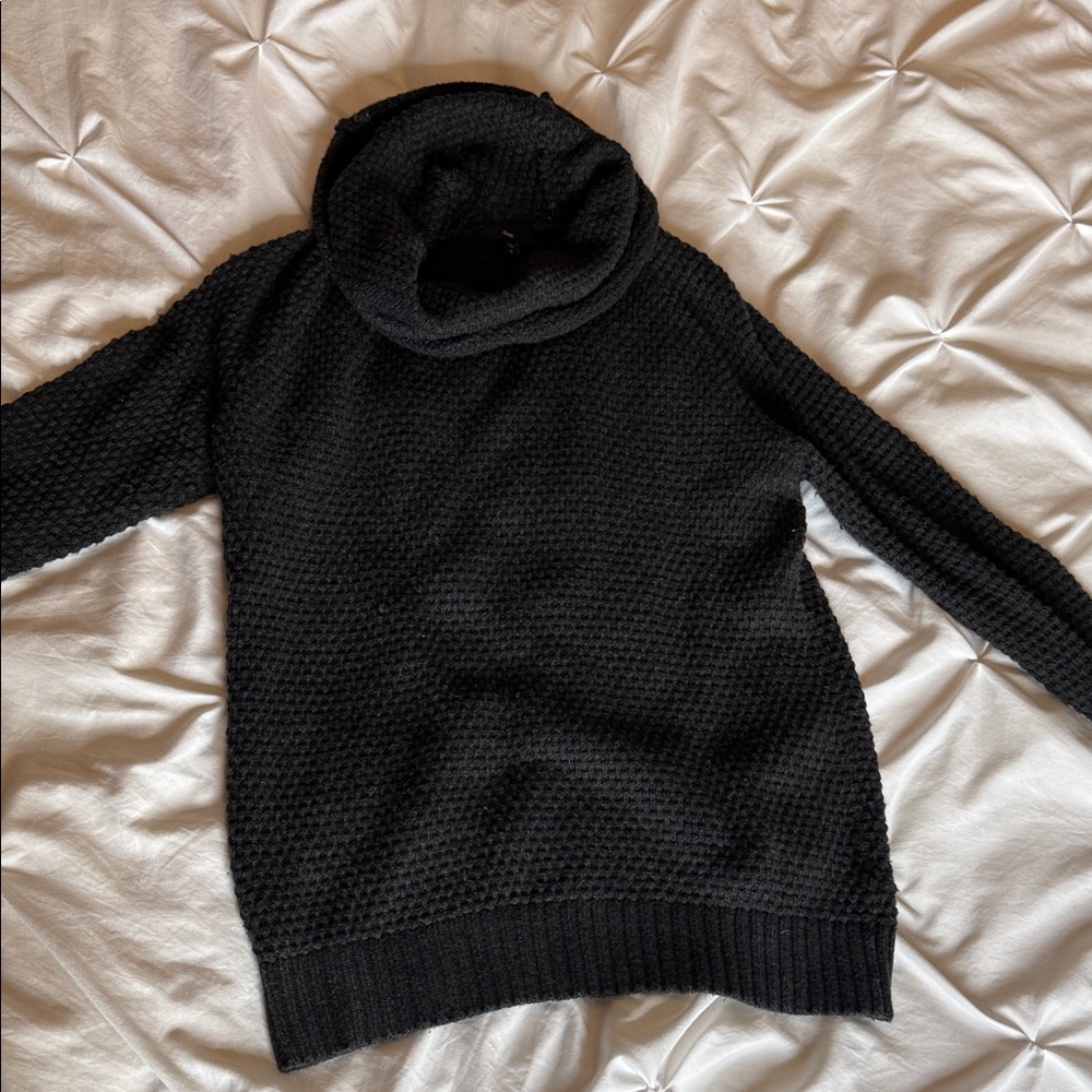 Gap (size s) turtle neck sweater